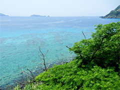 奄美大島